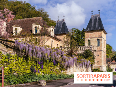 Village de Medan dans les Yvelines -  château de Medan - glycine