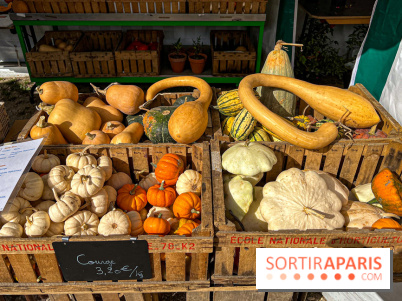 Les Saveurs du Potager du Roi à Versailles : marché de fruits & légumes, expositions et animations