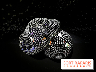 Exposition Disco à la Philharmonie de Paris, nos photos - Expo Disco 16 fotor 20250213123123