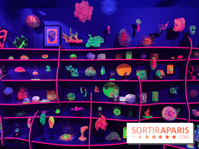 Digital Abysses au musée en Herbe - nos photos - 0129F15A 5778 46C1 BB45 E8B6ED6C3104