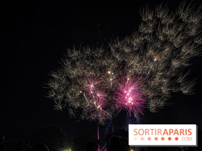 Visuels feux d'artifice