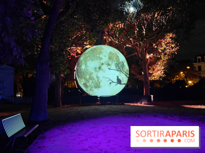 En voie d'illumination : Lumières de la nature : le festival nocturne hivernal du Jardin des Plantes - fotor 1762431759366