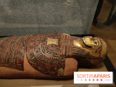 Momies : une exposition insolite et troublante à découvrir au musée de l'Homme - fotor 1763471518273