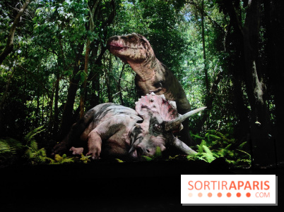 Dinosaures : l'expérience immersive qui nous fait remonter le temps à l'Atelier des Lumières, photos - fotor 1764680104761