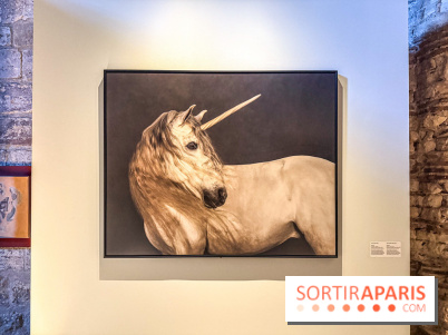 Licornes ! : l’exposition du Musée de Cluny à Paris explore le mythe de la créature légendaire