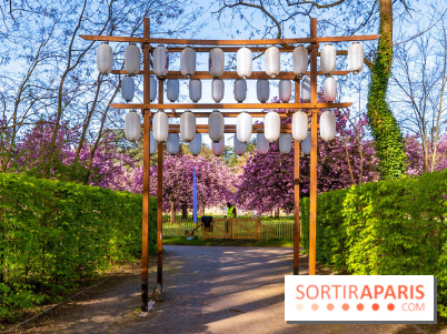 Hanami au Parc de Sceaux 2026, les cerisiers en fleurs et ses  animations - A7C01616 HDR