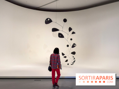 Calder. Rêver en Équilibre : l'exposition retrospective du  - IMG 2716