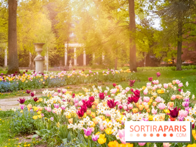 Le Château de Buc et son superbe domaine, parc paysagé aux nombreux trésors - A7C03157 Edit