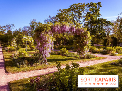 Le Parc des Ibis au Vésinet dans les Yvelines en Région Parisienne - photos  - A7200441