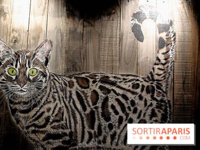 Chacun cherche son chat, nos photos de l'expo à Fluctuart - Expo Chat 11