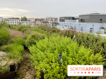 L'aromathèque Persépolis, sur le toit de la bourse du travail à Saint-Denis - nos photos