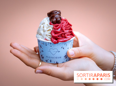 Le comptoir à glaces de Pleincœur et ses coupes glacées - photos