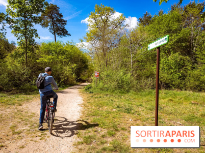 Liaisons douces à Fontainebleau : la forêt à vélo, les photos