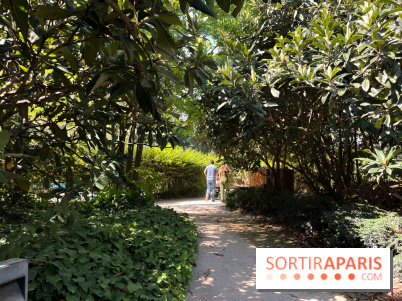 Le Jardin Claire Motte, square secret dans le 17e arrondissement