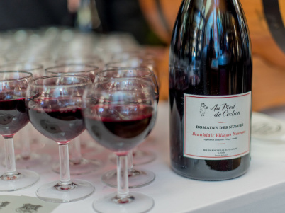 Le Pied de Cochon fête le Beaujolais Nouveau !