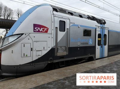 Tempête Goretti : la circulation des transiliens coupée à Saint-Lazaree