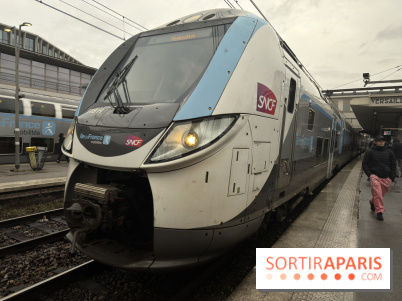 Transports à Paris et en Île-de-France : les perturbations de cette semaine avec la neige et le verglas