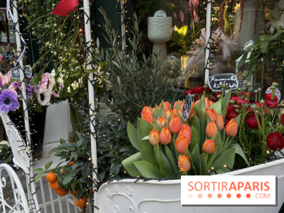 La foire aux Plantes de Crèvecœur-En-Brie 2026 (77)