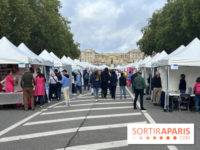 Brocantes et vide-greniers des Yvelines ce week-end dans le 78