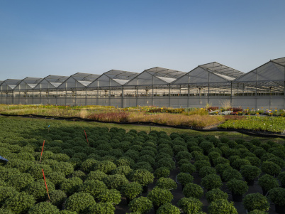 Val d'Oise : des milliers de plantes aux Portes ouvertes du centre Horticole du Grand Paris