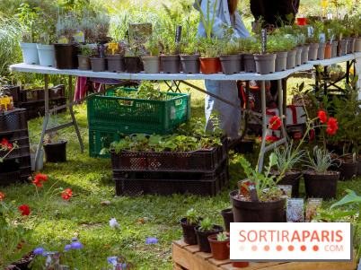 Les Naturiales 2026 à Fontainebleau : marché de plantes et animations nature en Seine-et-Marne