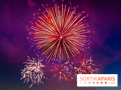 Après l'Essonne, les Yvelines, le Val d'Oise et la Seine-et-Marne interdisent les feux d'artifice