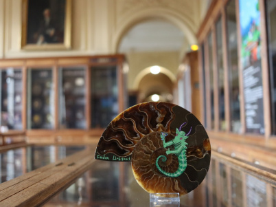 Codex on the Rocks : du street art au Musée de Minéralogie de l'École des Mines de Paris 