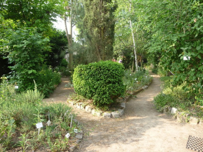 Rendez-vous aux Jardins 2024 : découvrez le jardin botanique et médicinal de Sannois (95)
