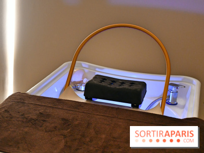 NESSPA head spa capillaire