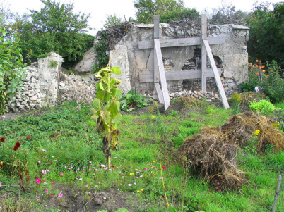 Connaissez-vous l'histoire des murs à pêches ? Voici pourquoi ce site est classé Jardin Remarquable