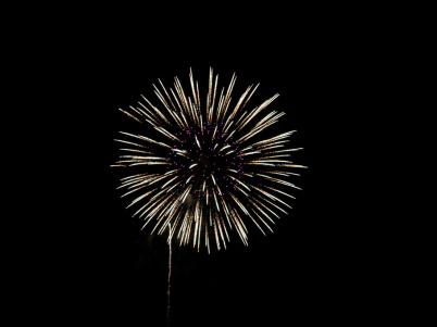 14 juillet à Gentilly (94) : feu d'artifice le 13 juillet 2022 pour la Fête Nationale