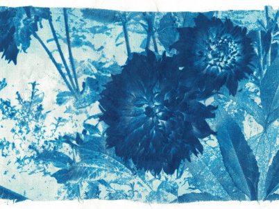 Des ateliers de cyanotype pour les familles au Café QJ