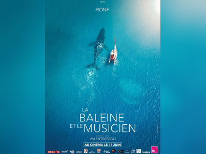 La Baleine et le musicien : Rone dialogue avec les cétacés au cinéma