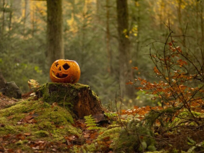 Halloween 2026 au château d’Auvers : contes en forêt et cinéma en famille