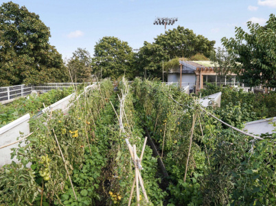 Ferme Suzanne