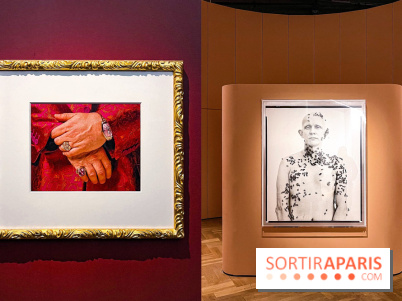 Fragiles beautés : la collection de photos d'Elton John exposée au Jeu de Paume