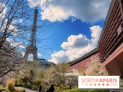 Visuel Paris, tour eiffel - Musée du Quai Branly