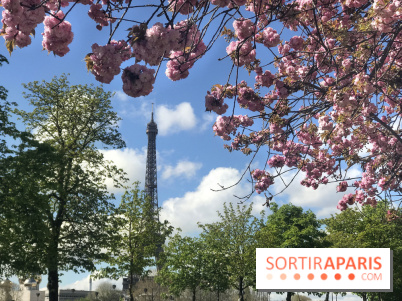 Visuel Paris, Tour Eiffel printemps