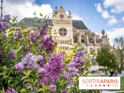 Visuel Paris Jardin Nelson Mandela Eglise Saint Eustache
