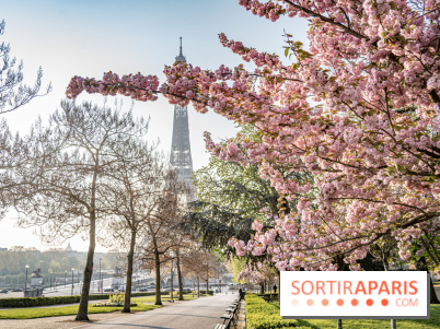 Visuel Paris Tour Eiffel cerisiers en fleurs