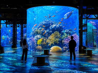 Une plongée immersive dans les océans avec L'Odyssée, l'exposition de l'Atelier des Lumières