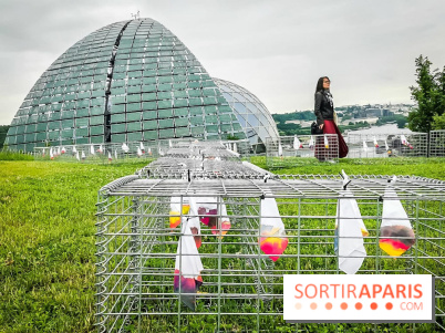 Les Extatiques 2021 : l'exposition en plein air gratuite à voir à La Défense et à la Seine Musicale