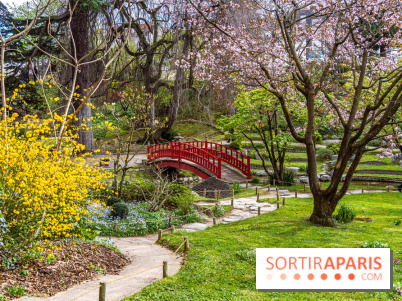 Les jardins du Musée Albert Kahn, nos photos
