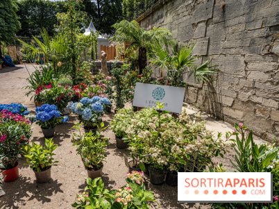 Jardins jardin aux Tuileries 2022