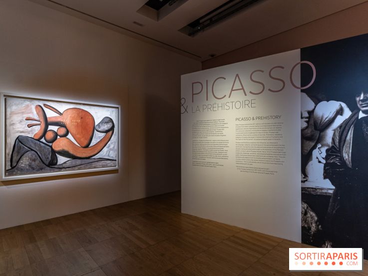 Picasso et la Préhistoire, les photos de l'exposition au Musée de l'Homme