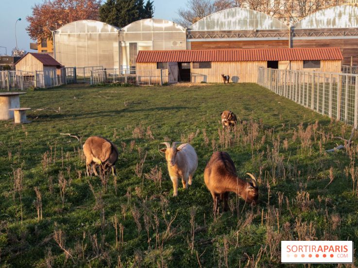 Fermes de Gally - Saint Denis - 121E8A17 ECDB 4F1B 90A8 CF8CA8E2C832