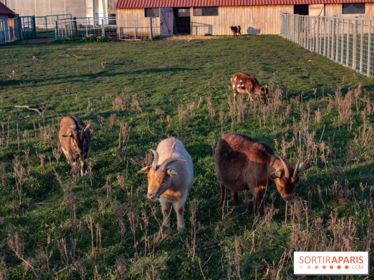 Fermes de Gally - Saint Denis - ED9AAD72 02C7 4C56 B502 2B079F42EDDF