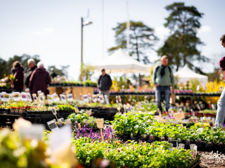 Les journées des plantes & Art  - journes des plantes  fontainebleau 2025 i samedi 29 mars 2025 54425853222 o