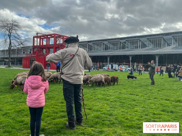 Transhumance à la Villette - CE1F1B78 657D 4D9B 8C5A FA4919382939