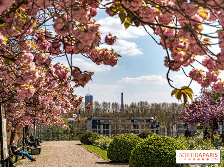 Parc de Bécon à Courbevoie - Pavillon des Indes - Cerisiers en fleurs